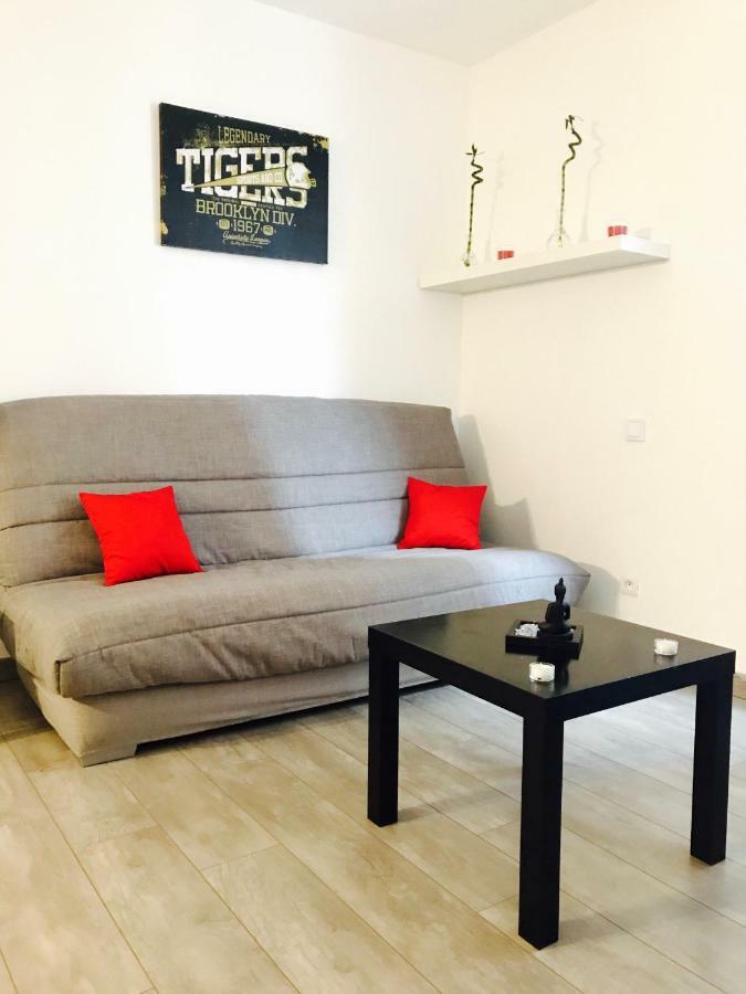 Spacieux Studio Au Centre Strasbourg Ngoại thất bức ảnh